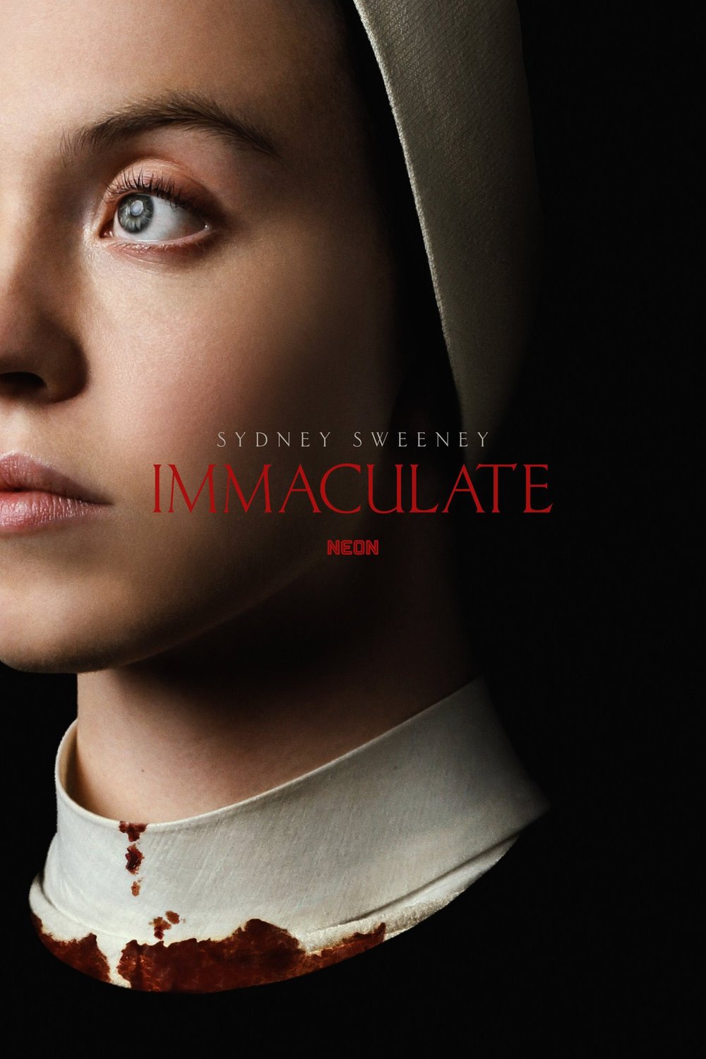 Poster of the movie Immaculate