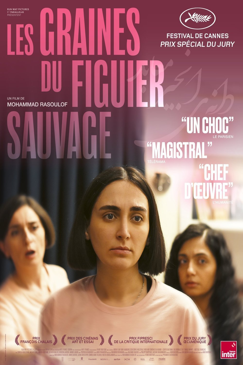 Poster of the movie Les graines du figuier sauvage