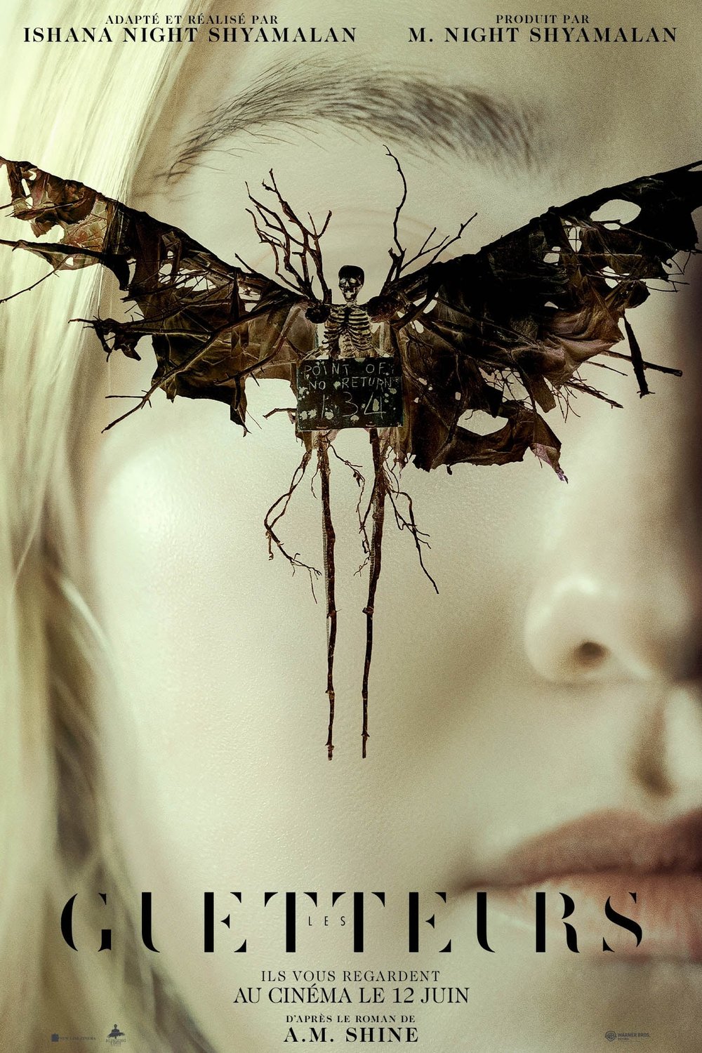 Poster of the movie Les Guetteurs