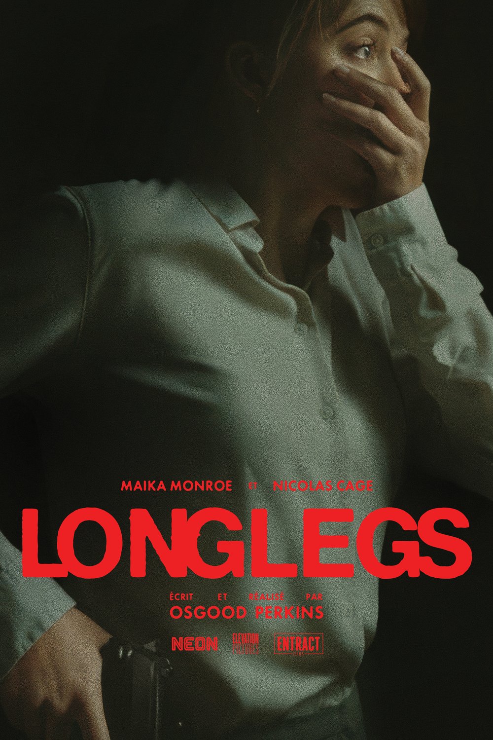 Poster of the movie Longlegs v.f.
