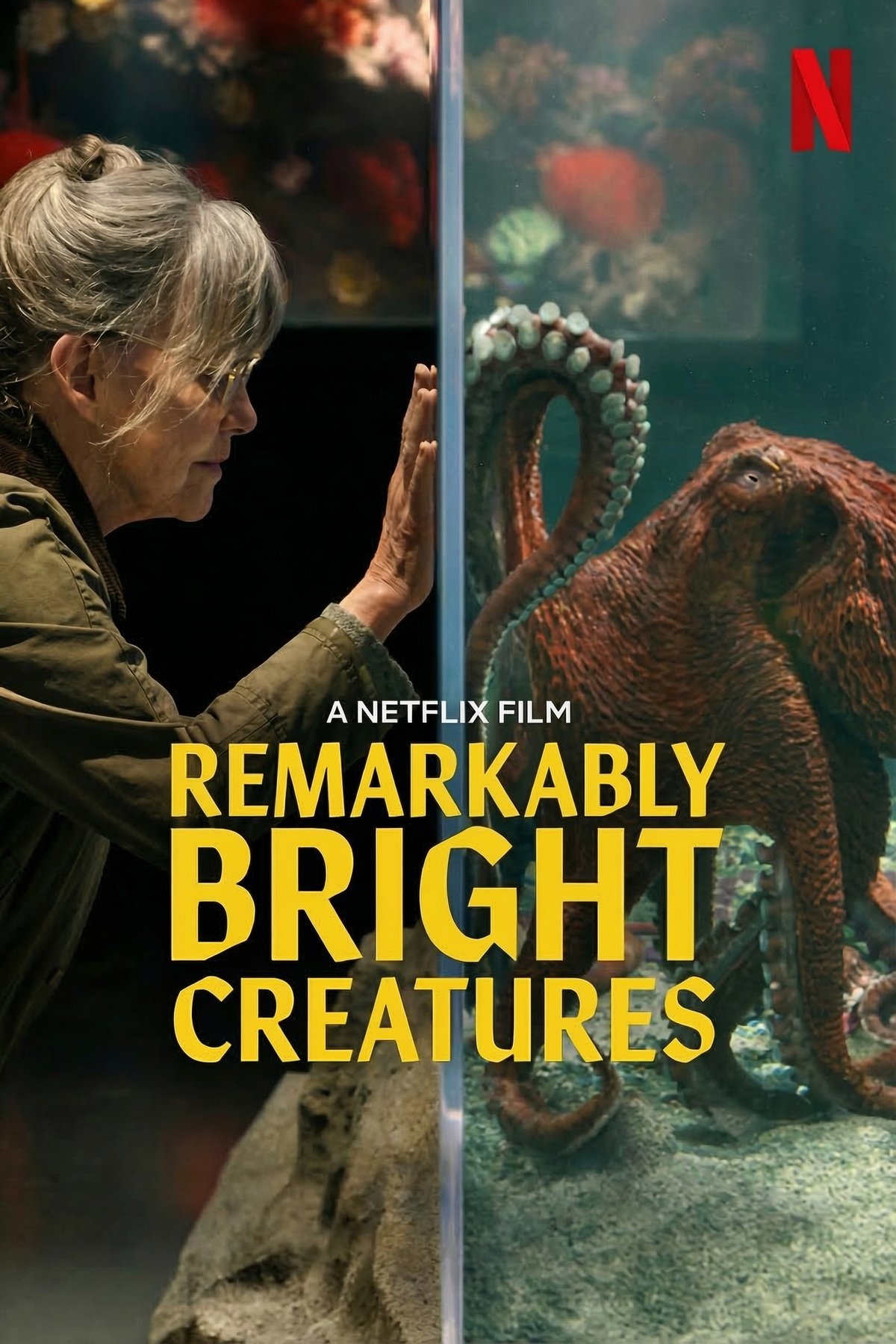 L'affiche du film Remarkably Bright Creatures [2026]