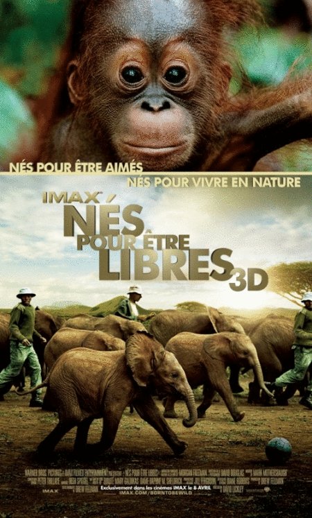 L'affiche du film Nés pour être libres [2011]