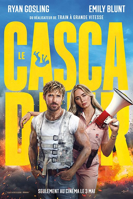 Poster of the movie Le cascadeur