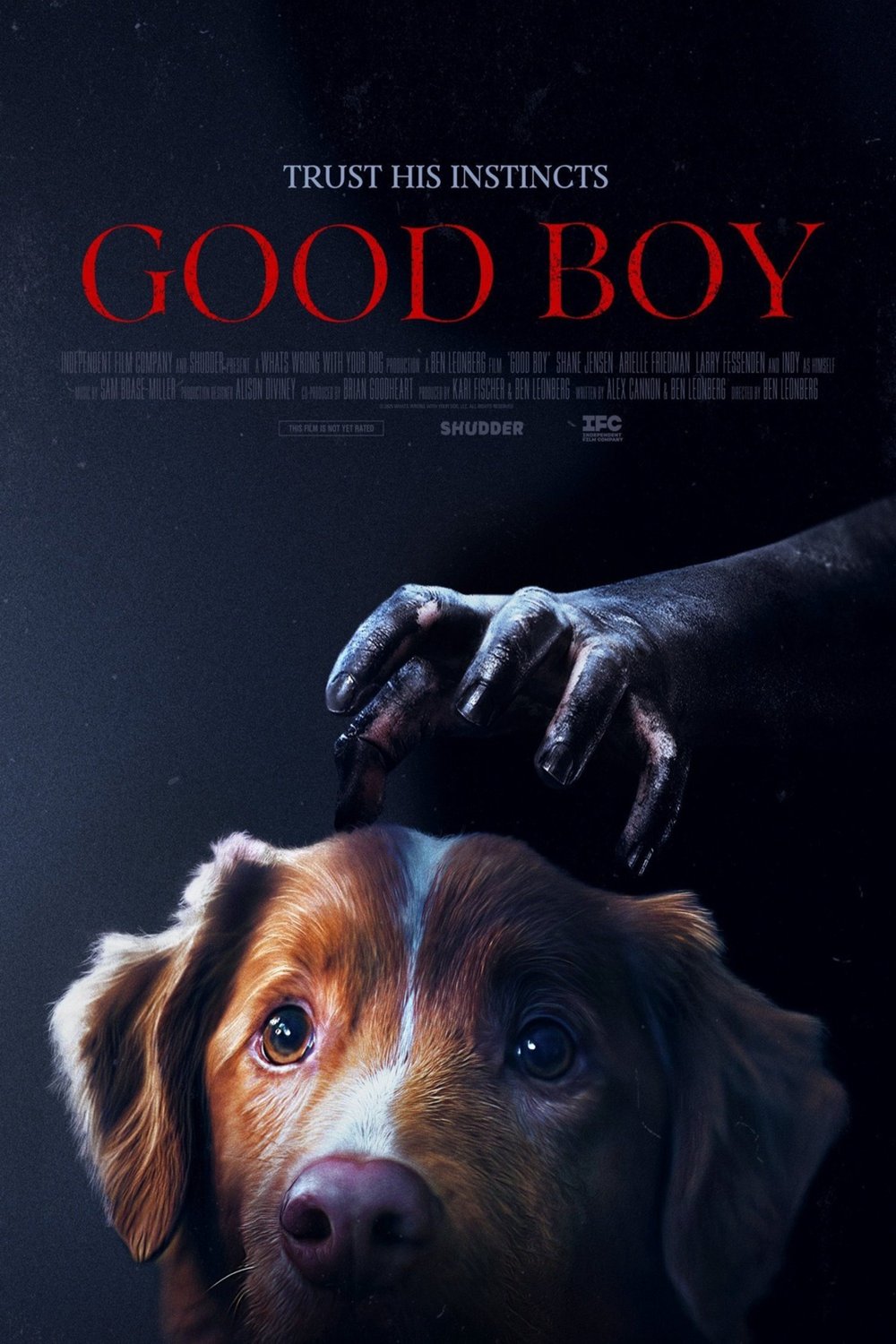 Poster of the movie Good Boy [2025]