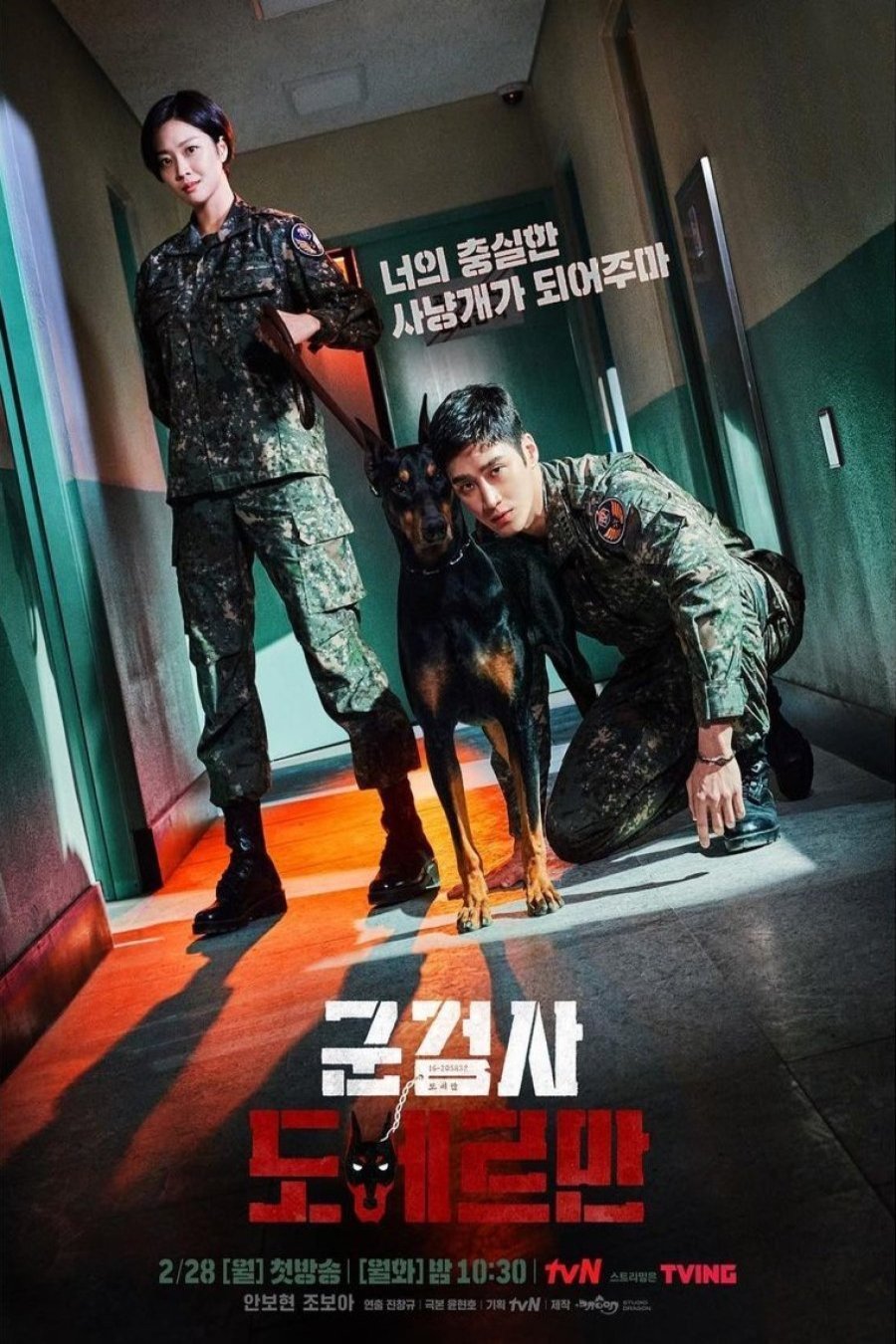 Poster of the movie Military Prosecutor Doberman