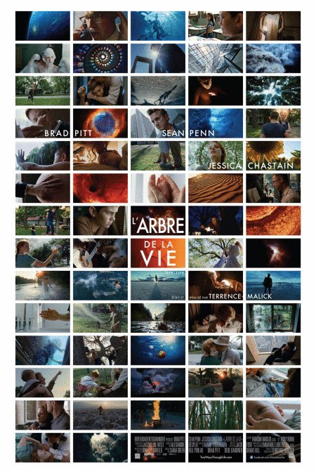 L'affiche du film L'Arbre de la vie [2011]