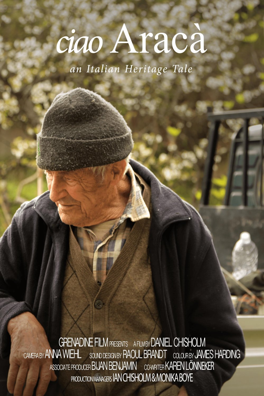 Poster of the movie Ciao Aracà