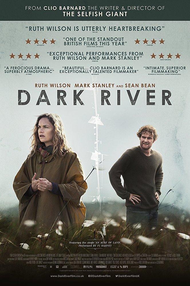 Poster of the movie Dark River [2017]