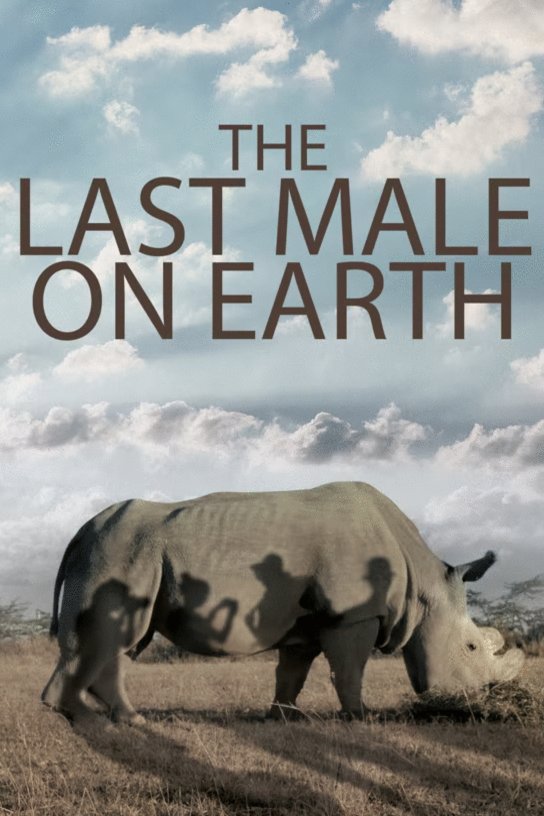 Poster of the movie The Last Male on Earth