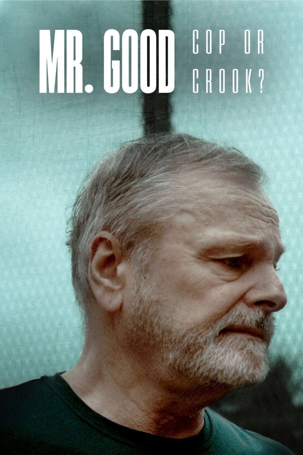 Poster of the movie Mr Good: Cop or Crook?