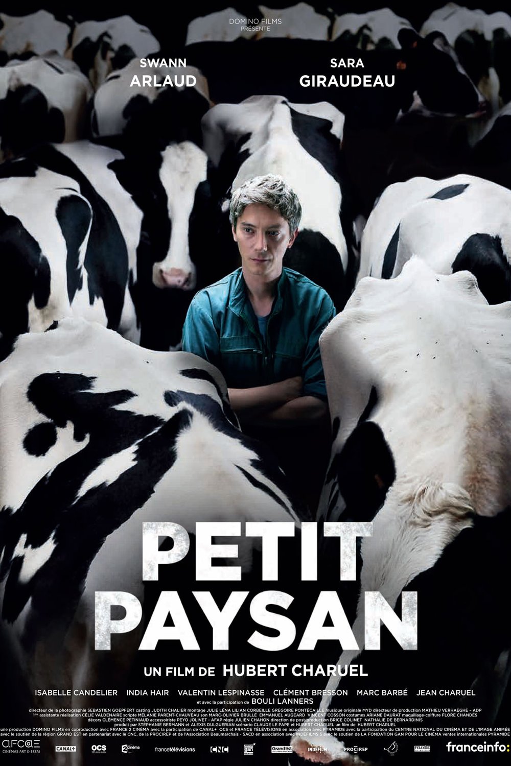 L'affiche du film Petit paysan [2017]