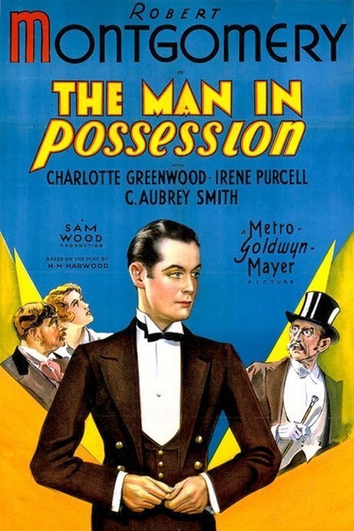 Poster of the movie The Man in Possession