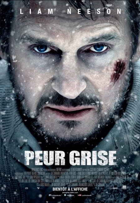 L'affiche du film Peur grise [2012]