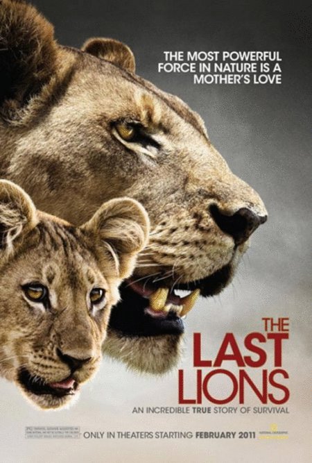 Poster of the movie The Last Lions [2011]