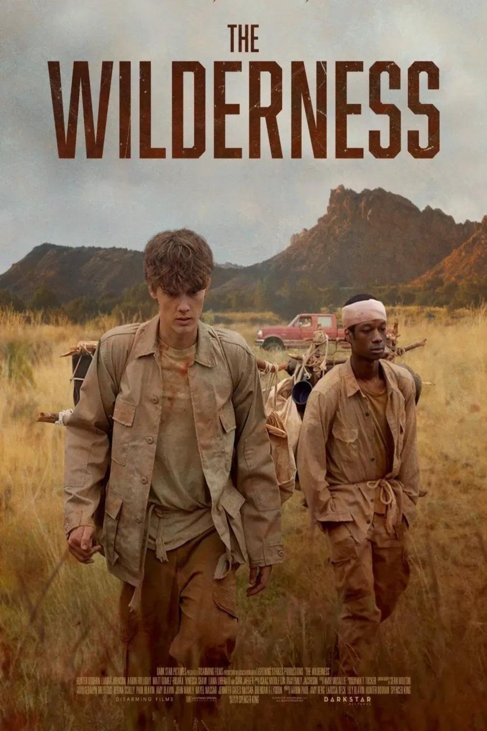 Poster of the movie The Wilderness