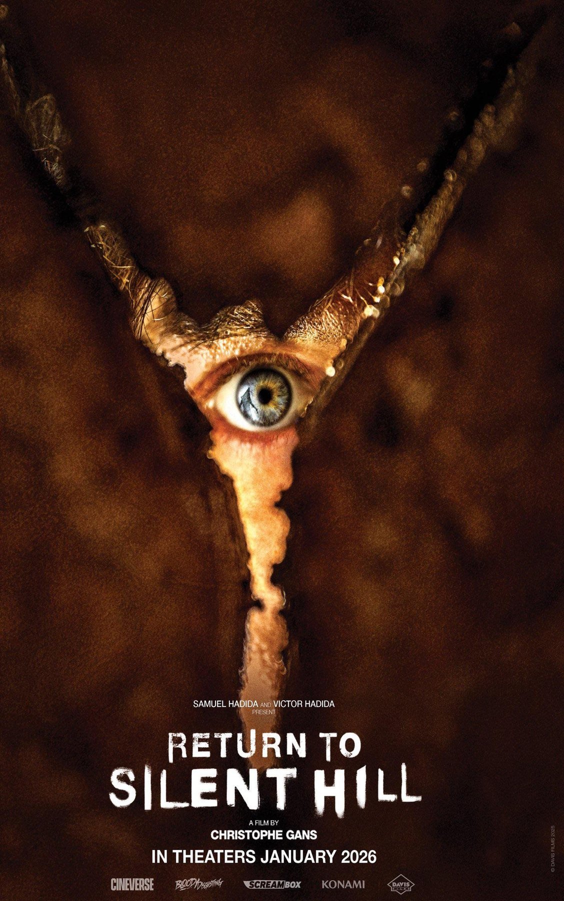 Poster of the movie Return to Silent Hill