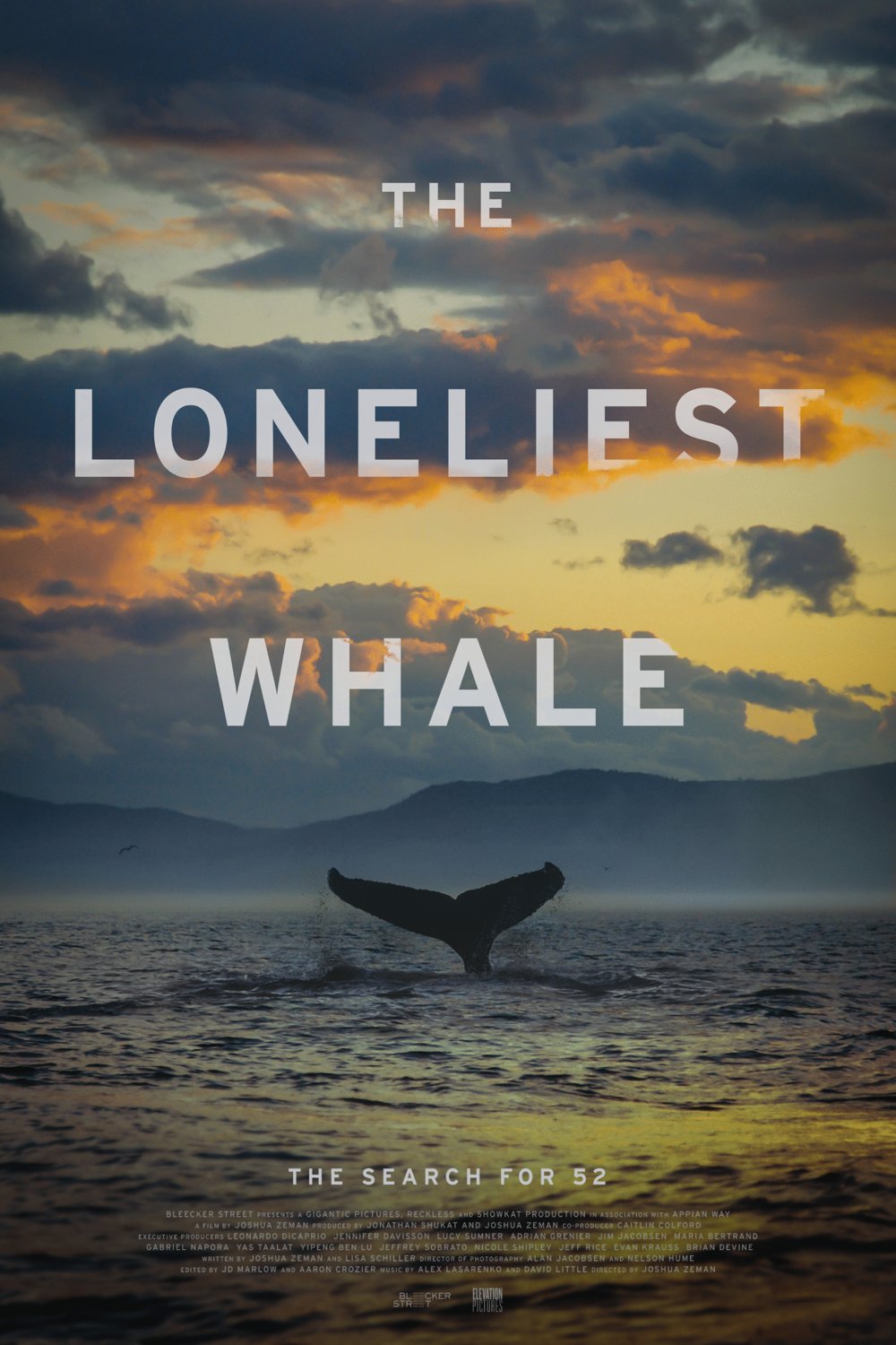 L'affiche du film The Loneliest Whale: The Search for 52 [2021]