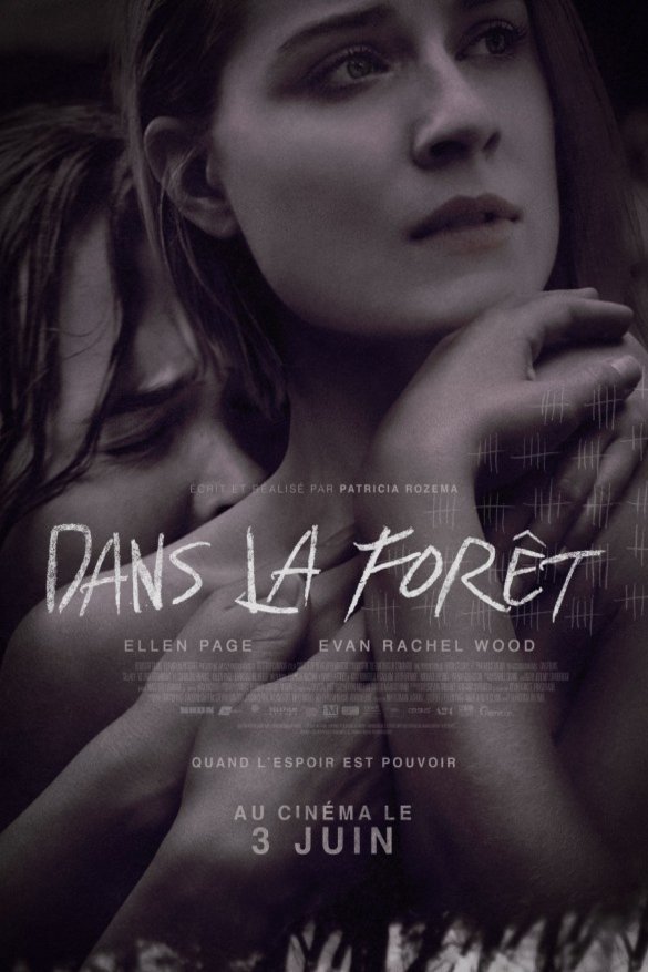 L'affiche du film Dans la forêt [2015]