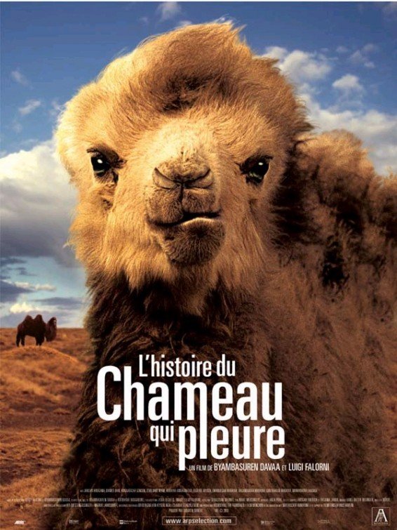 L'affiche du film L'Histoire du chameau qui pleure [2004]