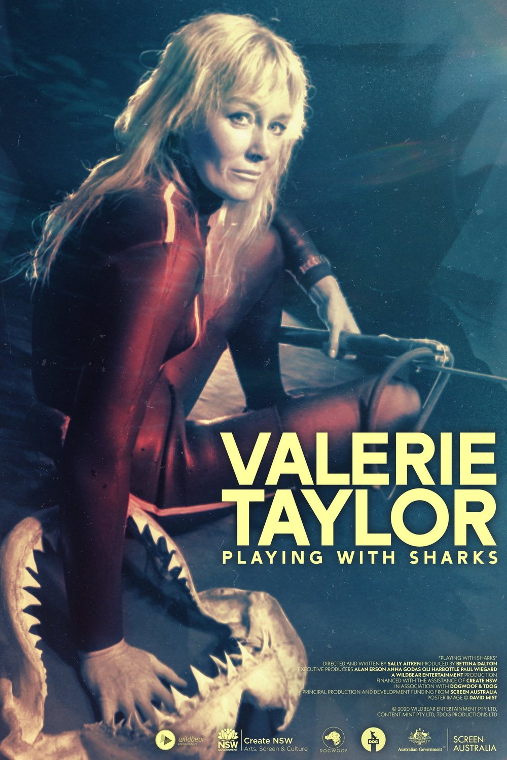 Poster of the movie Playing with Sharks