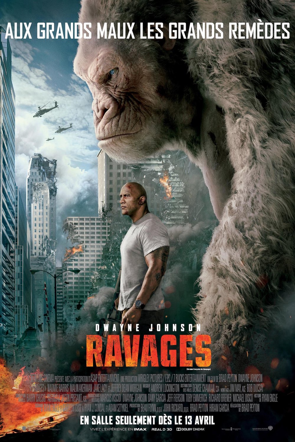 L'affiche du film Ravages v.f. [2018]