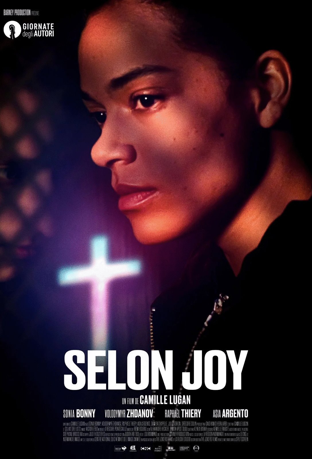 Poster of the movie The Book of Joy