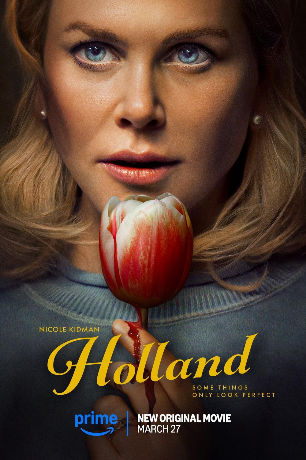 Poster of the movie Holland
