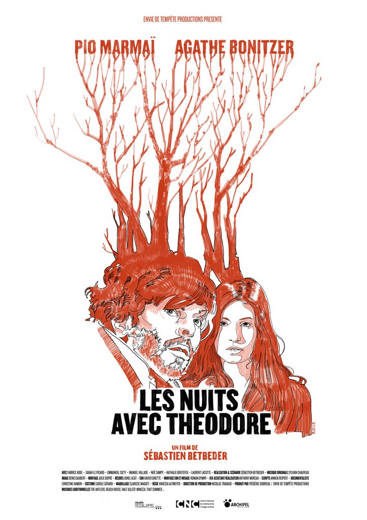 L'affiche du film Les Nuits avec Theodore [2012]