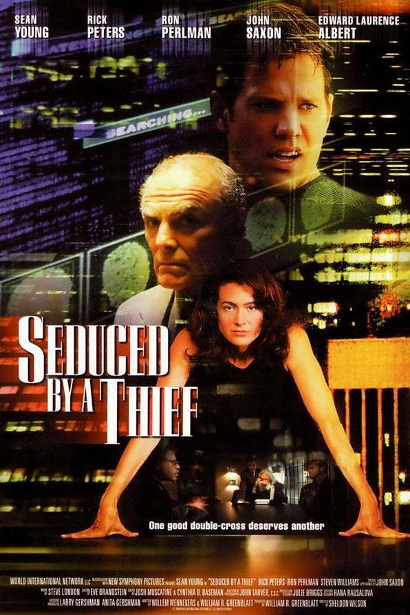 Poster of the movie Seduced by a Thief [2001]