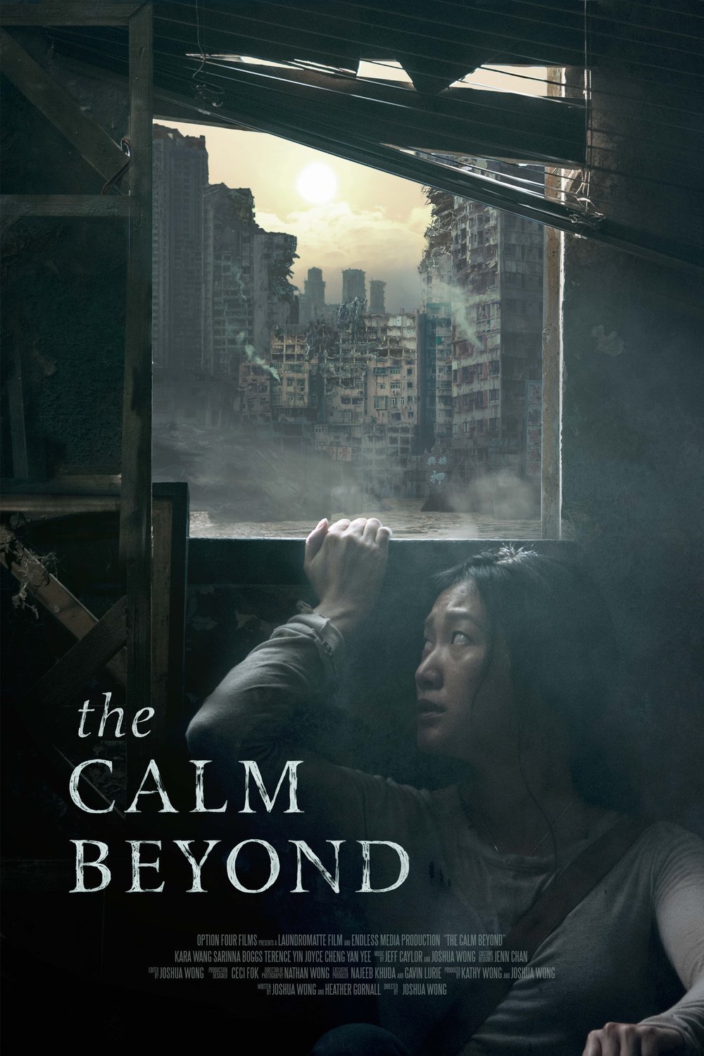 Poster of the movie The Calm Beyond