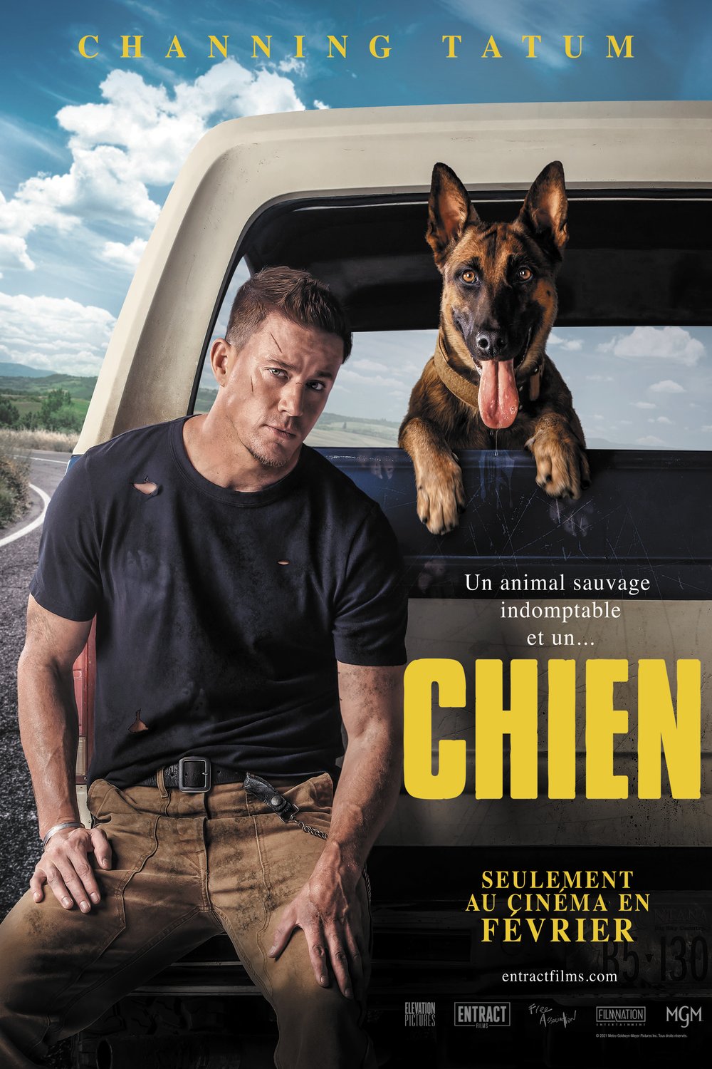 Poster of the movie Chien