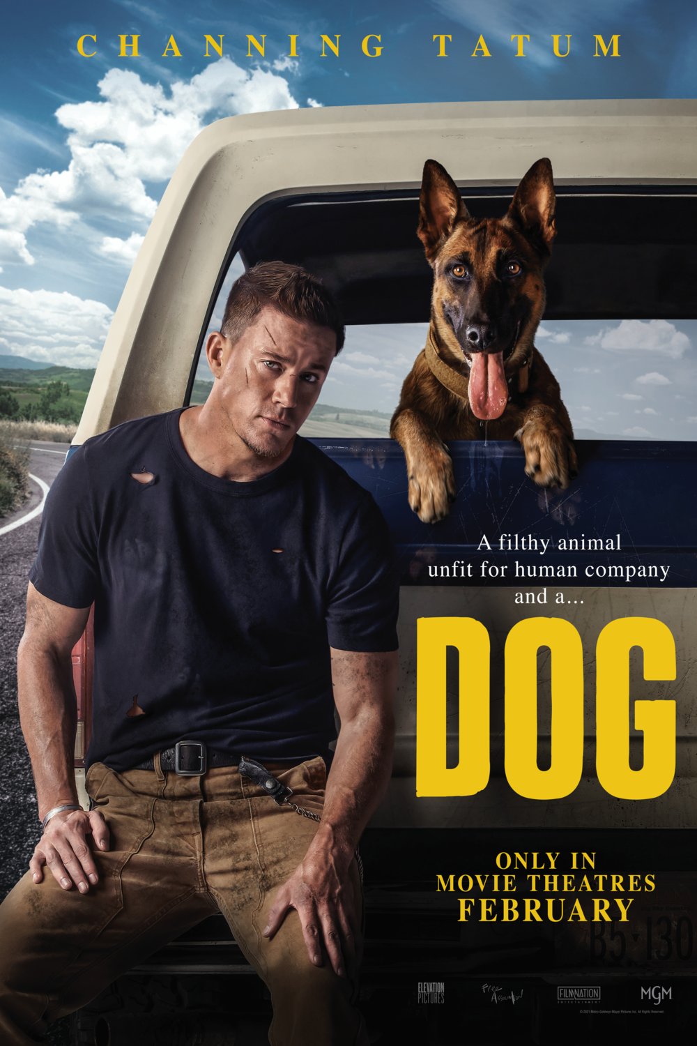 Poster of the movie Dog [2022]