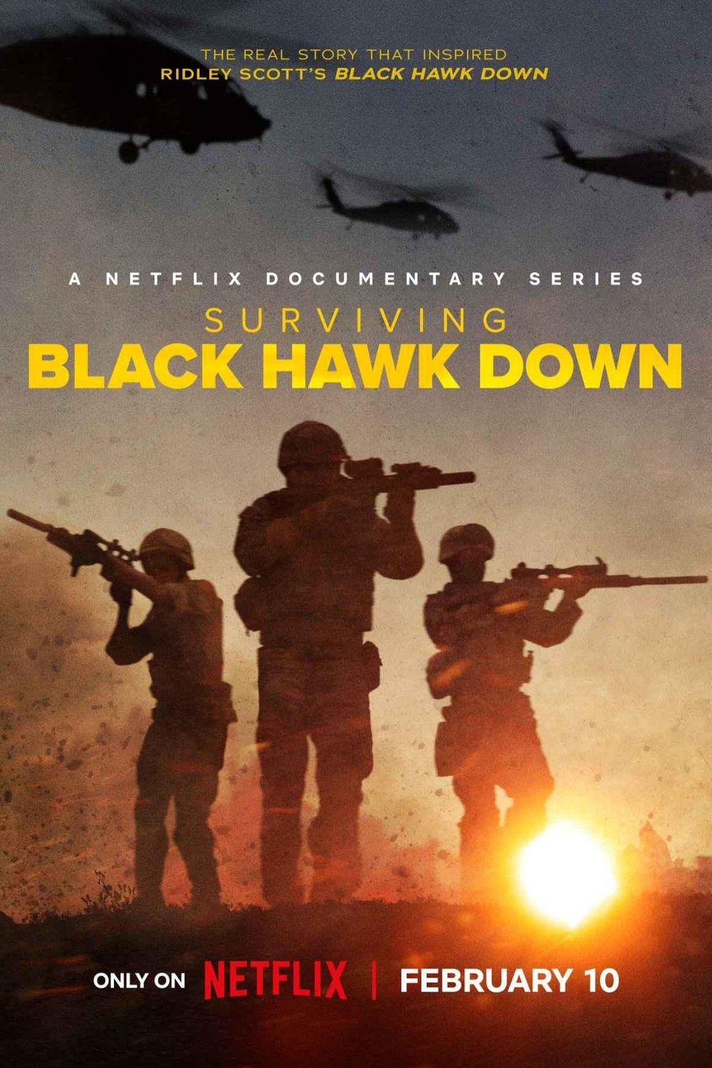 Poster of the movie Surviving Black Hawk Down