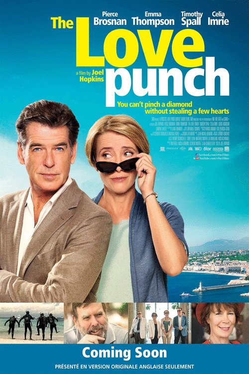 L'affiche du film The Love Punch [2013]
