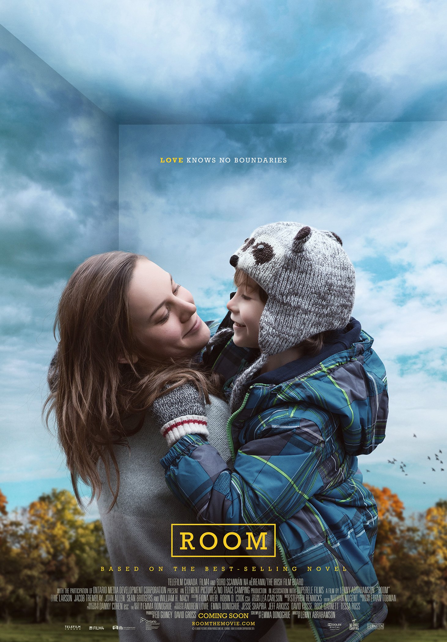 Poster of the movie Room [2015]