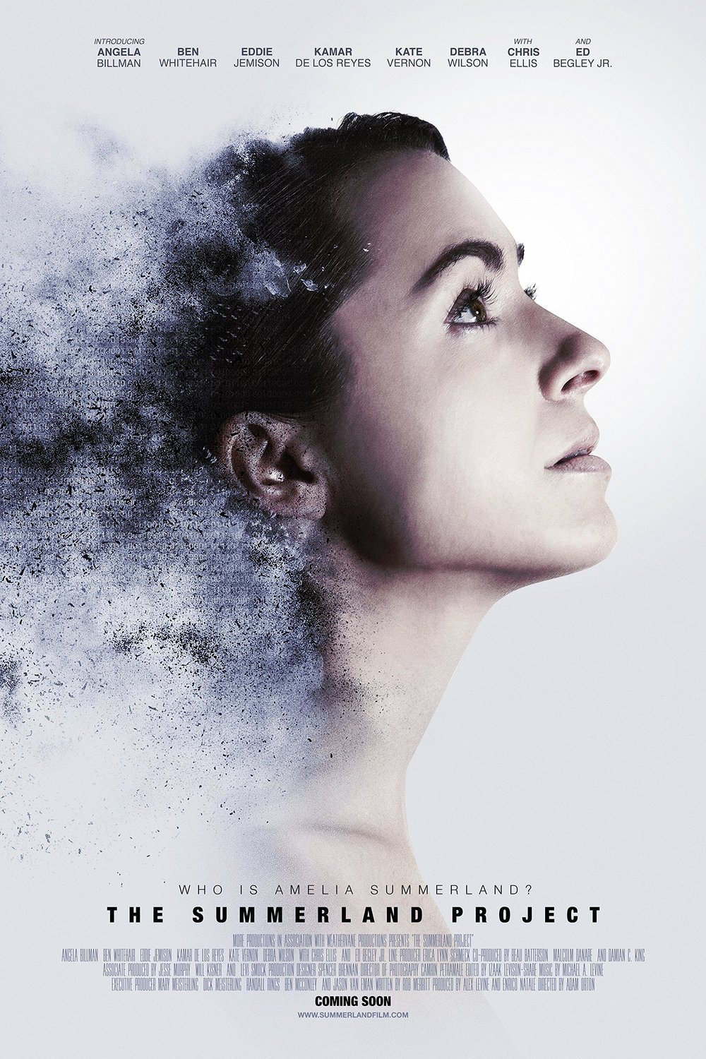 Poster of the movie Amelia 2.0