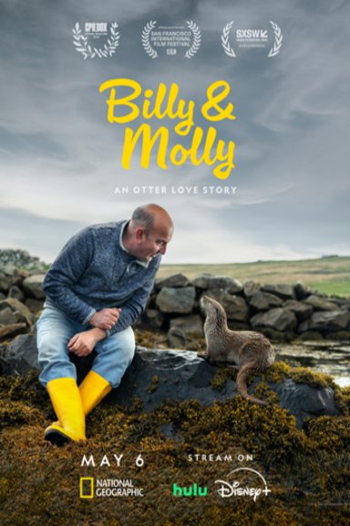 L'affiche du film Billy & Molly: An Otter Love Story [2024]