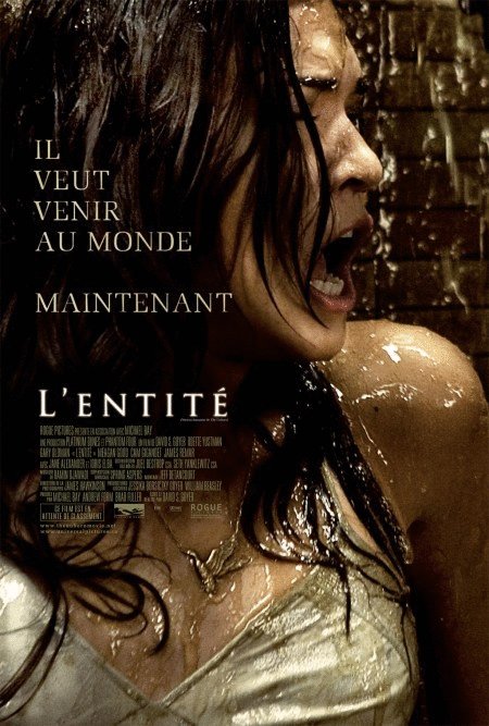 L'affiche du film L'Entité [2009]