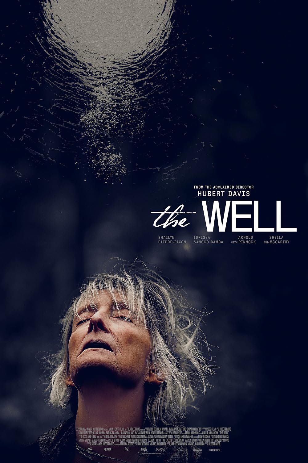 L'affiche du film The Well [2025]