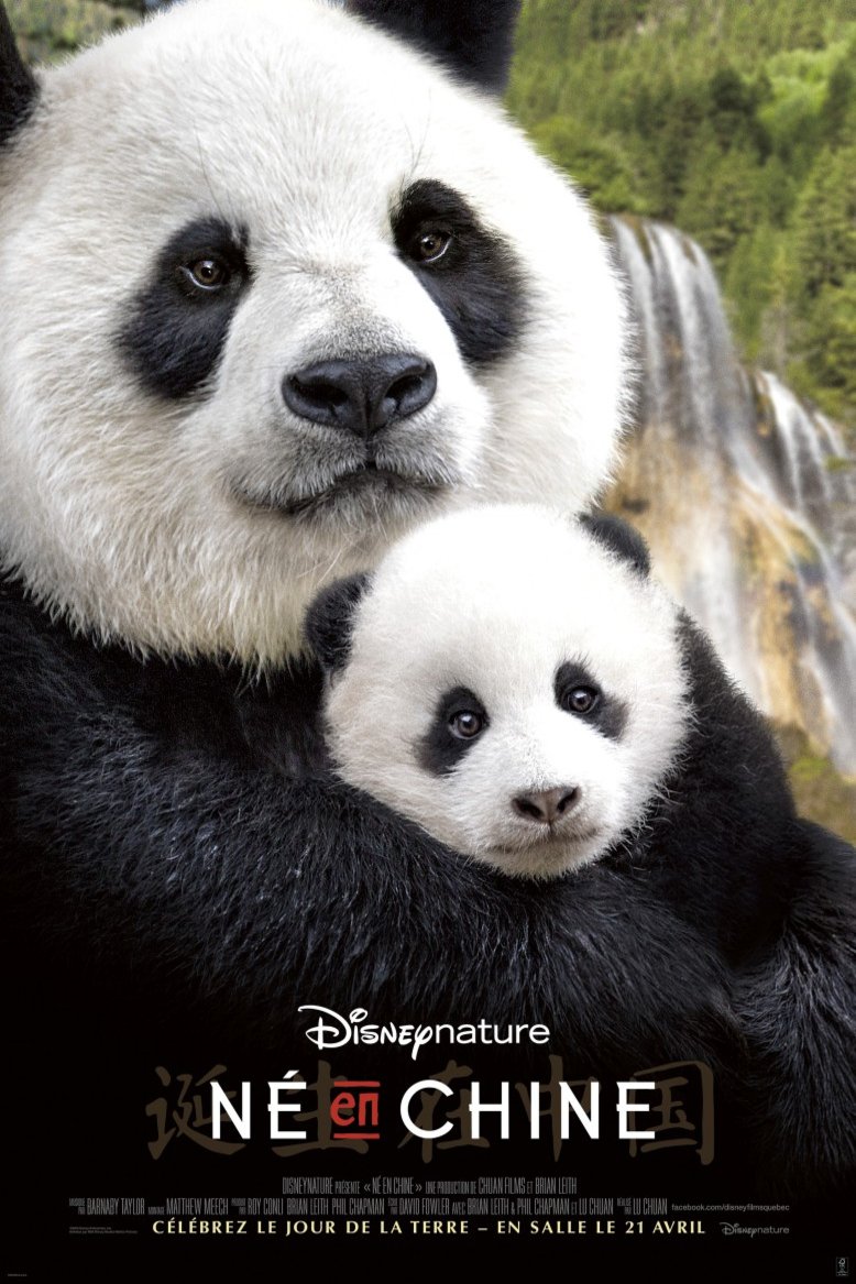 L'affiche du film Né en Chine [2016]