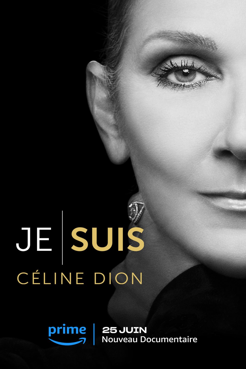 Poster of the movie Je suis: Céline Dion