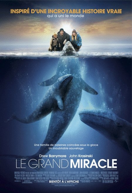 L'affiche du film Le Grand miracle [2012]