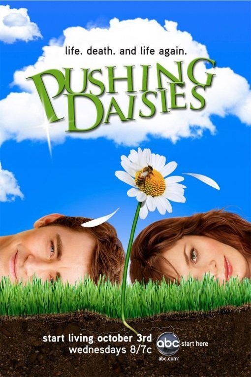 Poster of the movie Pushing Daisies [2007]