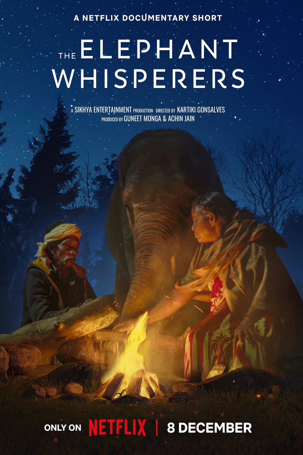 Poster of the movie The Elephant Whisperers