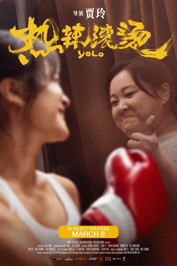 L'affiche du film Yolo [2024]