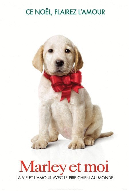L'affiche du film Marley et moi [2008]