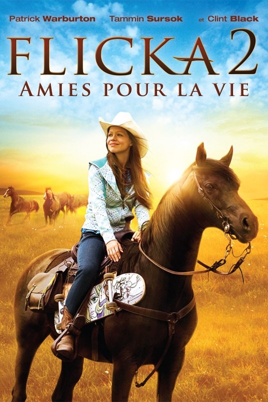 L'affiche du film Flicka 2: Amies pour la vie [2010]