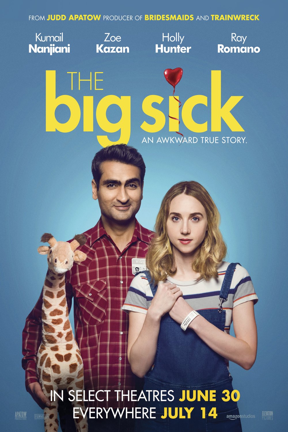 Poster of the movie The Big Sick [2017]