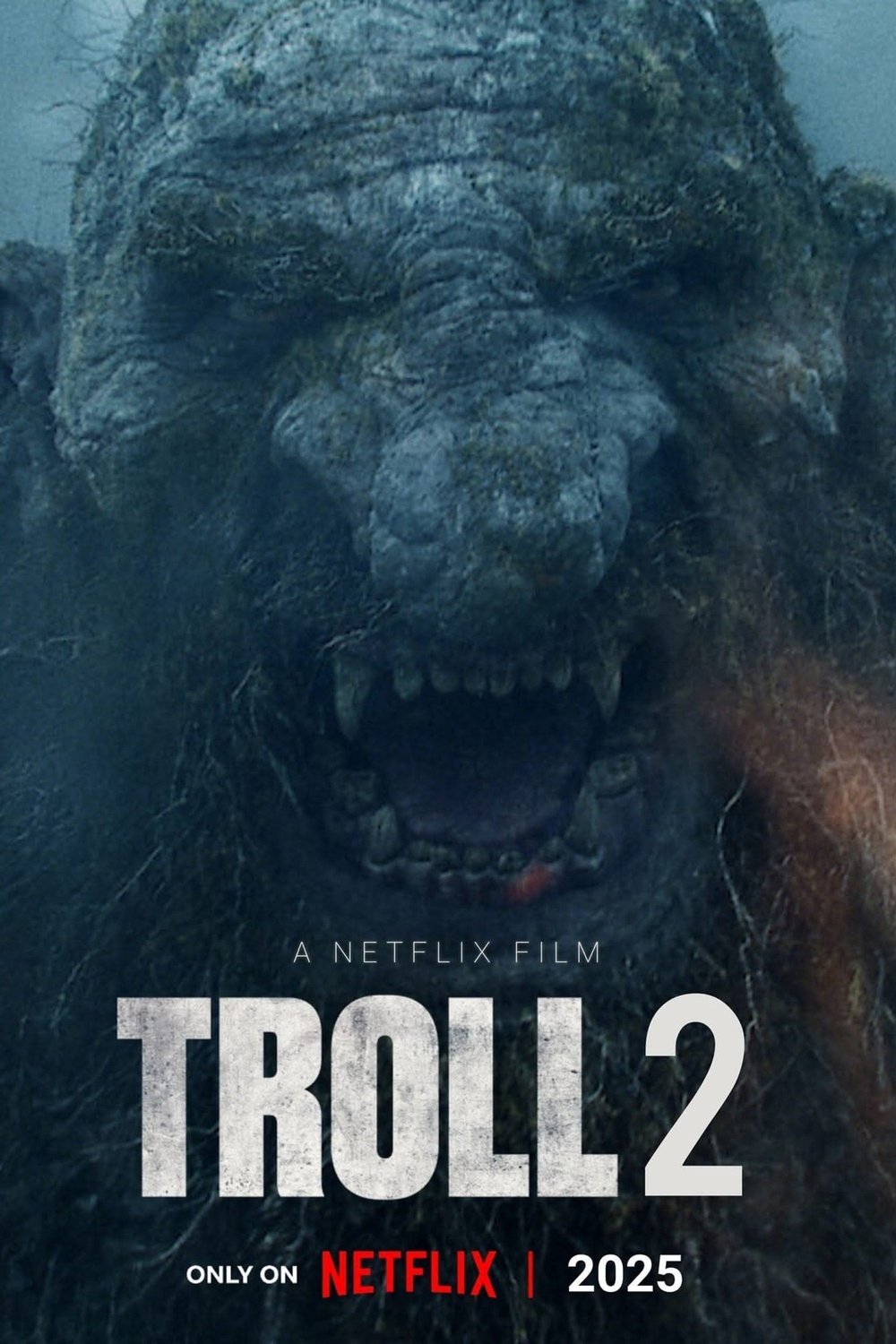 Poster of the movie Troll 2