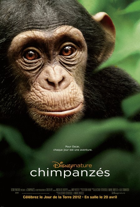 L'affiche du film Chimpanzés v.f. [2012]